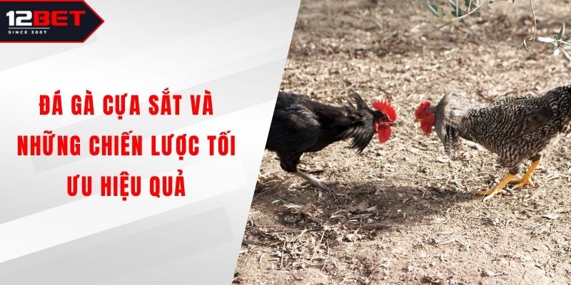 Đá Gà Cựa Sắt
