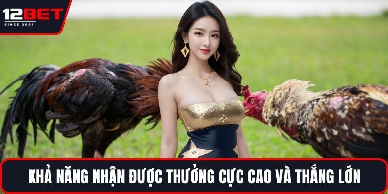 Gà Chiến Thắng Lớn - Chiến Lược Hiệu Quả Cho Người Mới 3 Khả năng nhận được thưởng cực cao và thắng lớn