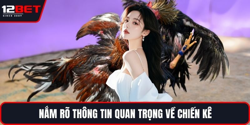 Đá Gà Thomo Trực Tiếp Và Những Điểm Nổi Bật Cần Biết 4 Nắm rõ thông tin quan trọng về chiến kê