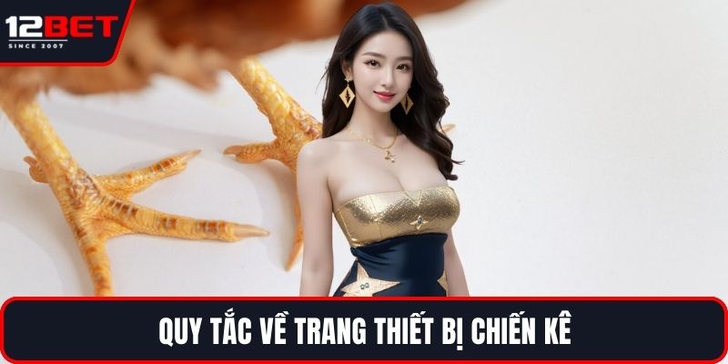 Đá Gà Cựa Sắt Và Những Chiến Lược Tối Ưu Hiệu Quả 3 Quy tắc về trang thiết bị chiến kê