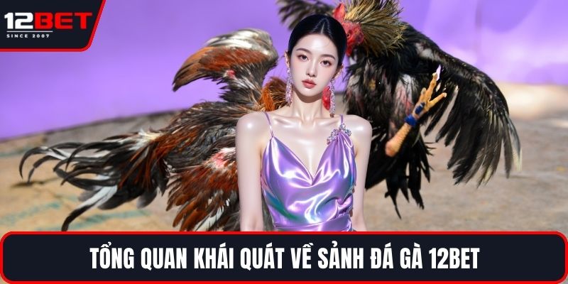 Tổng quan khái quát về sảnh đá gà 12BET