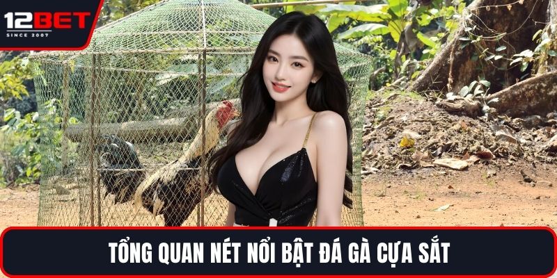 Đá Gà Cựa Sắt Và Những Chiến Lược Tối Ưu Hiệu Quả 2 Tổng quan nét nổi bật đá gà cựa sắt
